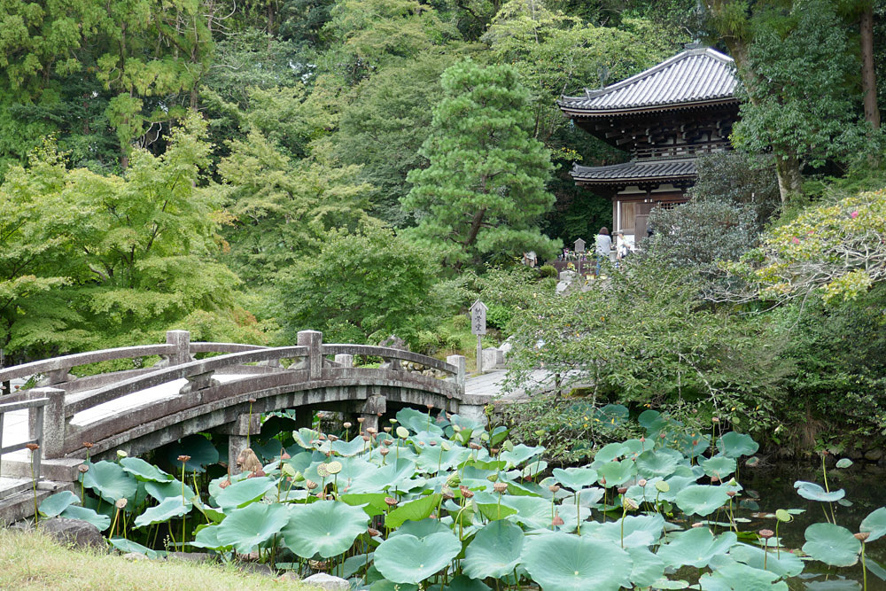 ９月の京都　その３（南禅院〜知恩院）_f0199866_06555303.jpg