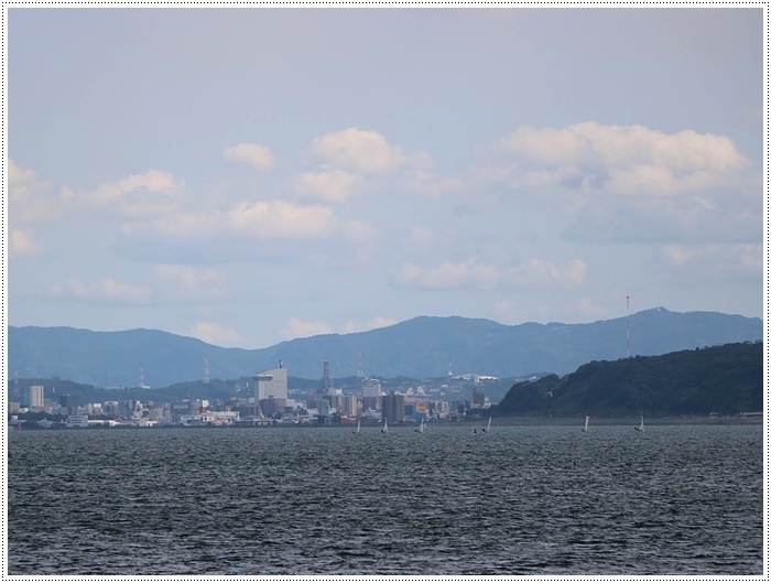 日曜日の続きは、孫ちゃんたちとさくらと大が主役だよ、子供たちもわんこたちも、見てて飽きないね\\(>3(O^-)/ウフ☆_b0175688_23253483.jpg