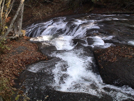 c0171889_10311754.jpg