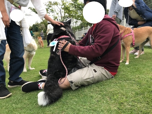 幸太くん、ドッグランへ♪_f0242002_11115526.jpg