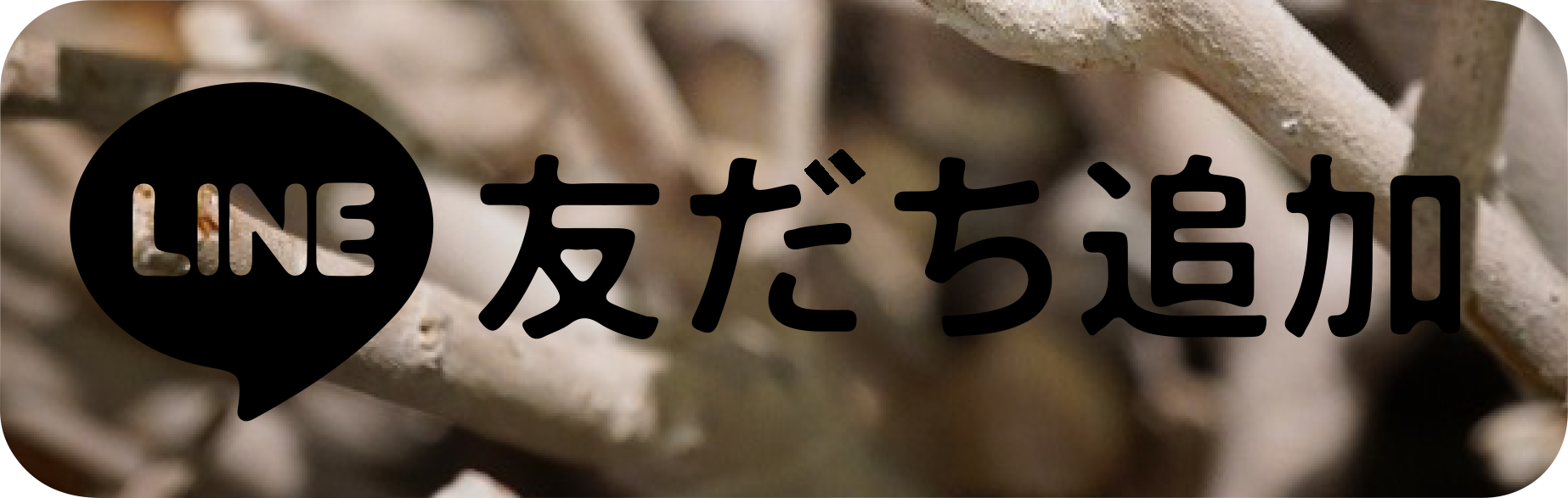 AILAイベント&新作情報、メールマガジン&LINE@登録・QR決済サービスに関して_b0115615_14103779.png
