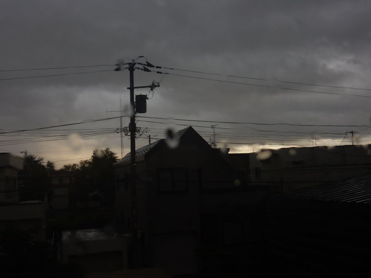 朝寒く、昼もそれなりに寒く_c0025115_21534446.jpg