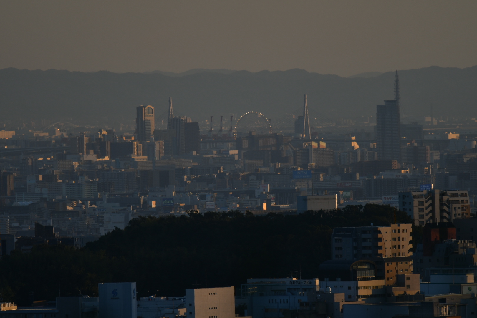 f0340732_20375701.jpg