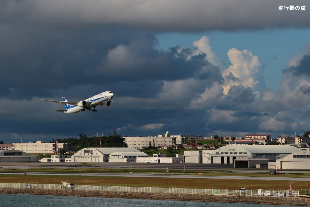 雲間からコンニチハ B787 全日空(NH)_b0313338_23252184.jpg