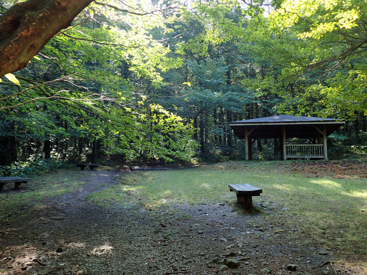 10月5日の三瓶山①_f0214649_04533568.jpg