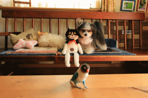c0145250_10424467.gif