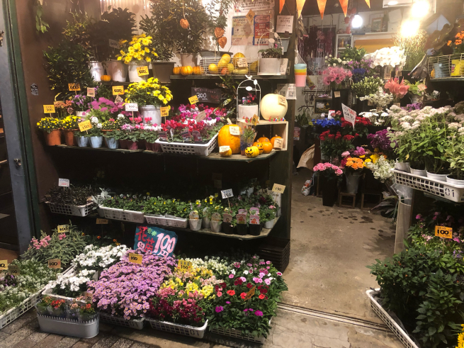 店頭店内花だらけ 目黒区 都立大の 花屋 Moco 花と 植物で楽しい毎日 一人で全力で営業中