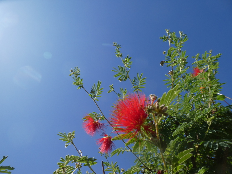 c0108460_17241347.jpg