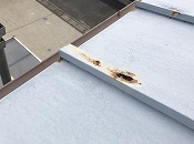 c0331470_21283640.jpg