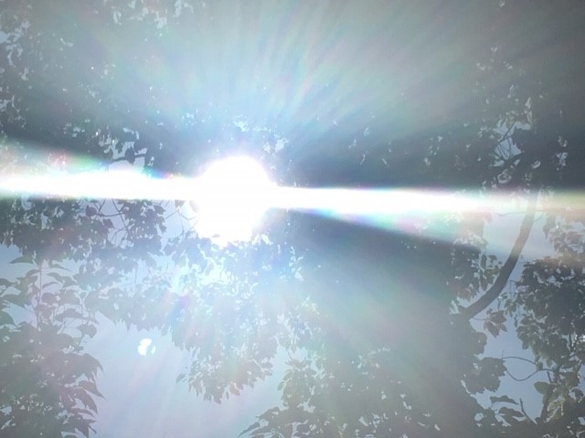 c0344679_16123581.jpg