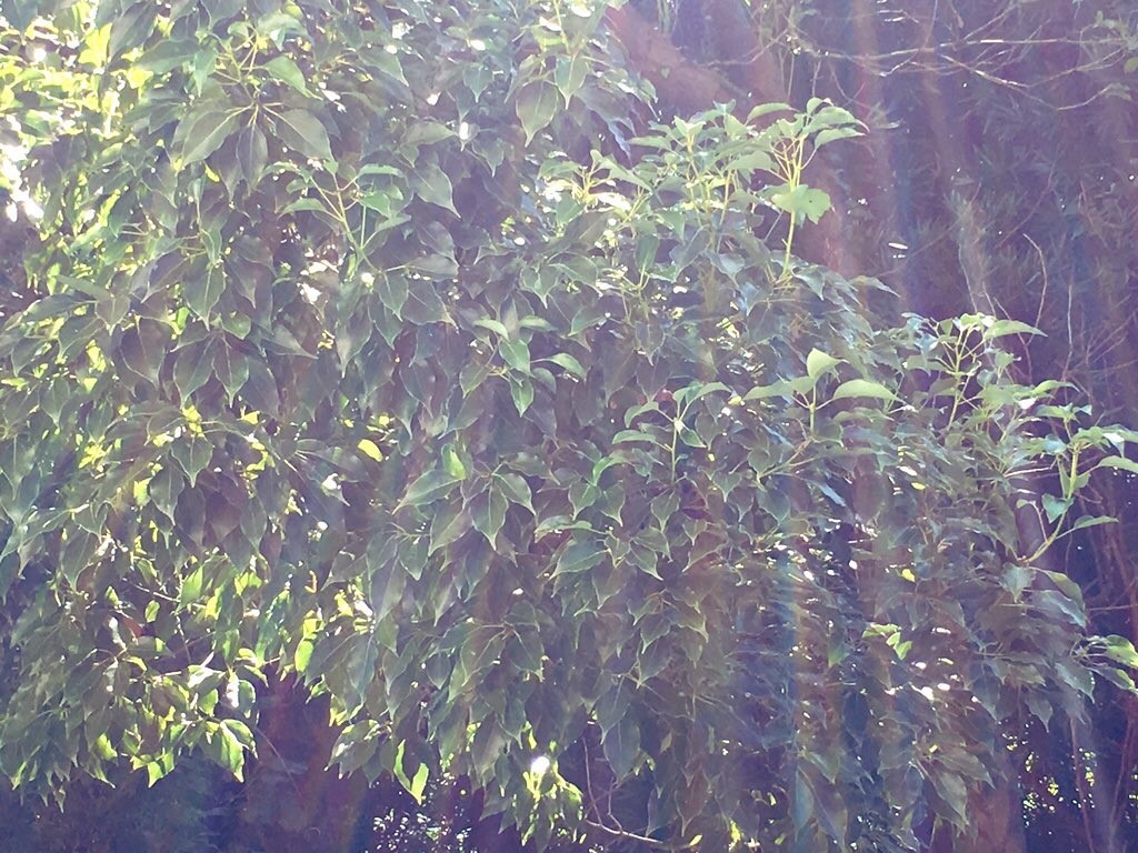 c0344679_16130886.jpg