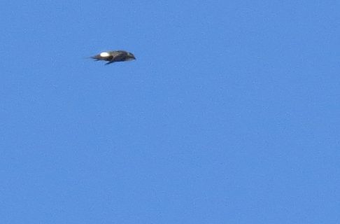 d0020180_09132518.jpg