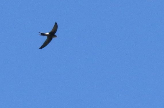 d0020180_09132550.jpg