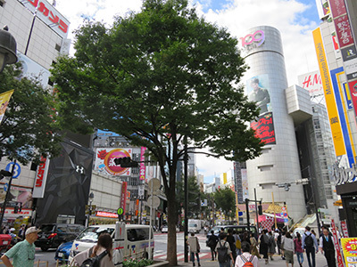 b0056983_12060746.jpg