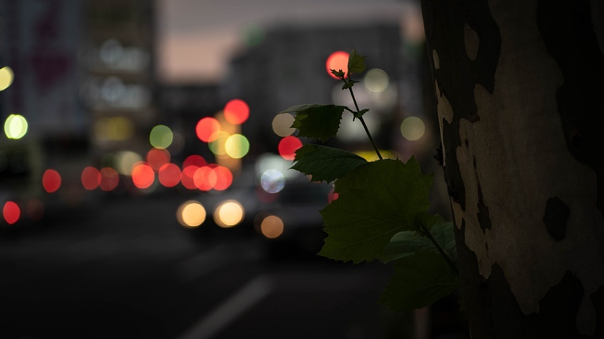 暮れ逝く副都心_d0353489_17501844.jpg