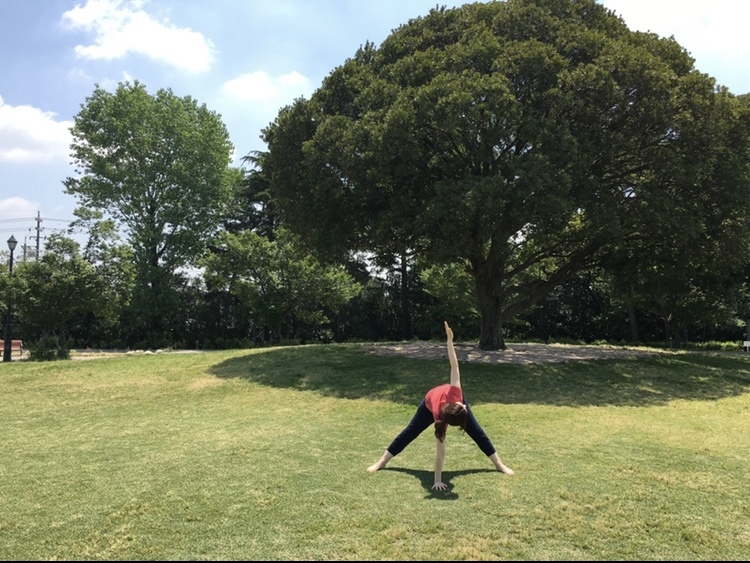 パリブリッタトリコアーサナ_a0353292_05445660.jpeg