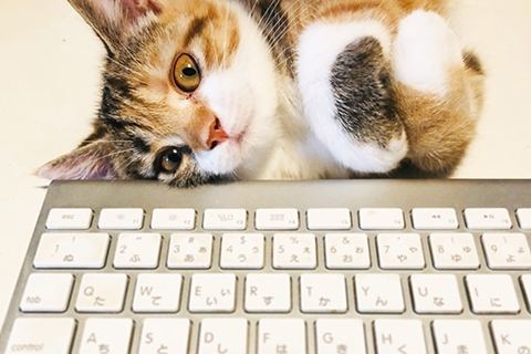 30 August  仕草_b0149497_10120667.jpg