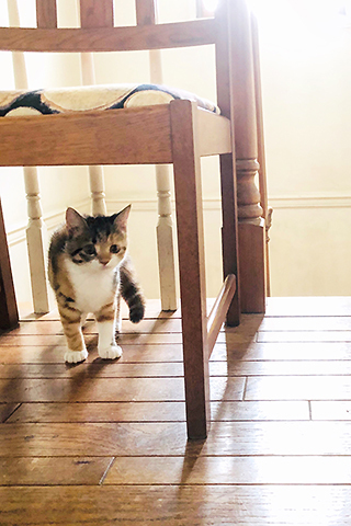 04 September  エマの成長_b0149497_10230983.jpg