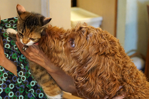 05 September  興味津々_b0149497_10304598.jpg