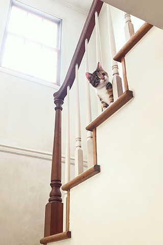 09 September  おんなじ_b0149497_10374799.jpg