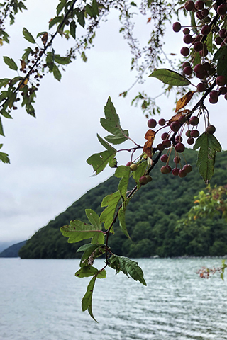 13 September  遅い夏休み_b0149497_11050385.jpg