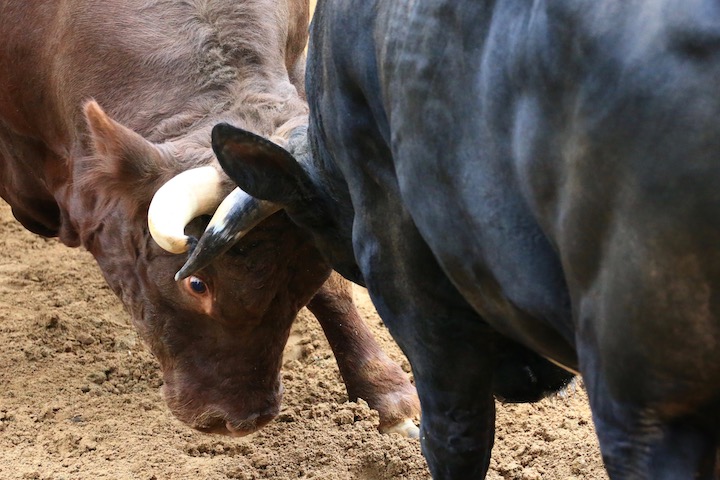 b0016600_20392190.jpg