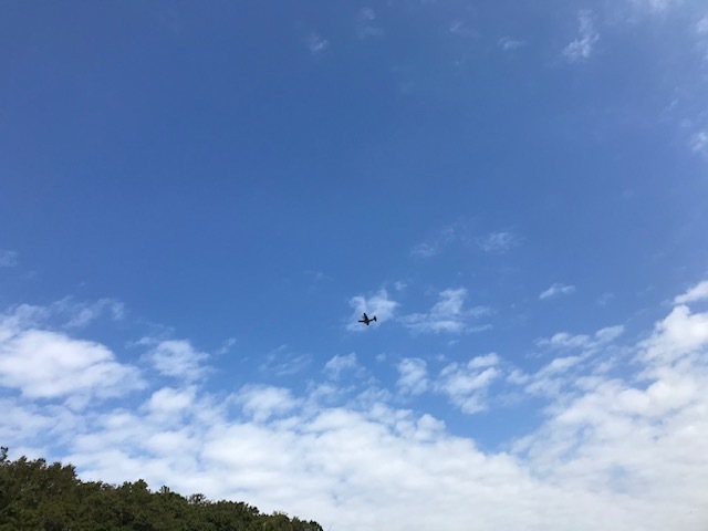 また台風が来ますね。。_f0242002_15570452.jpg