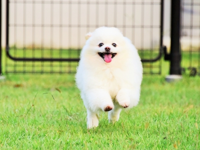 恩恵_d0360206_00371918.jpg