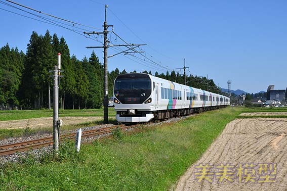 E257系0番台 日光集約臨 ビビッとブログ