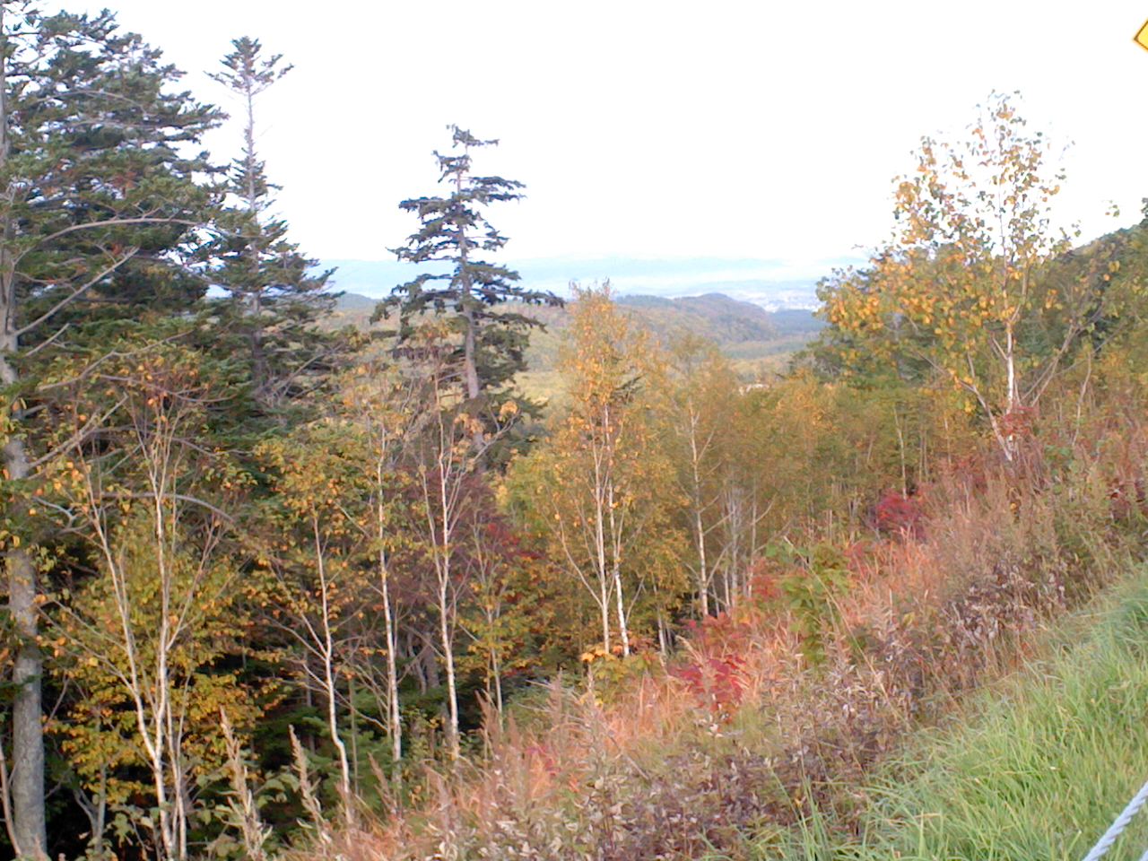 b0109511_19294545.jpg