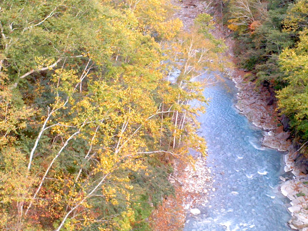 b0109511_1929823.jpg