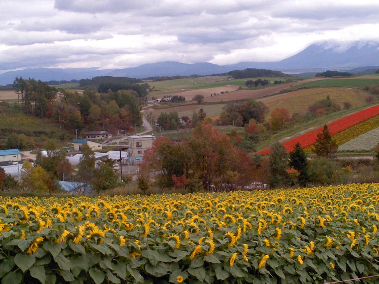 b0109511_19311620.jpg