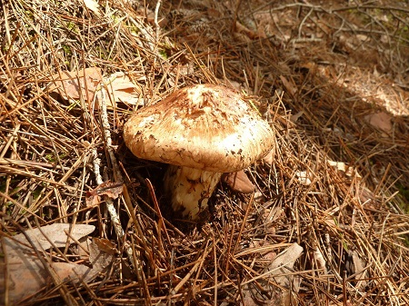 e0367116_09150665.jpg