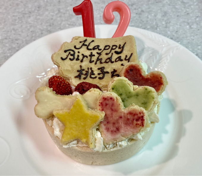 １９年１０月１０日 桃ちゃん １２歳のお誕生日 旅行犬 さくら 桃子 あんず 日記