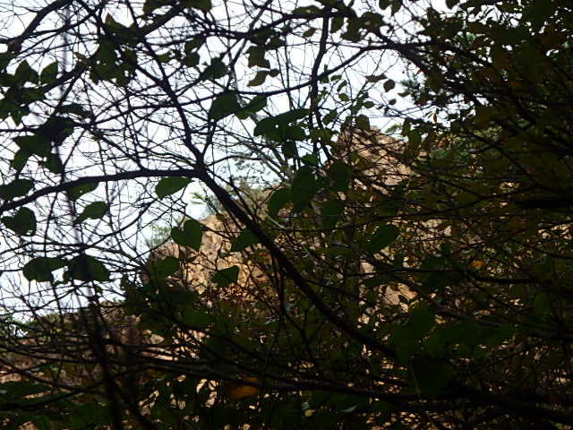 f0334143_20581828.jpg