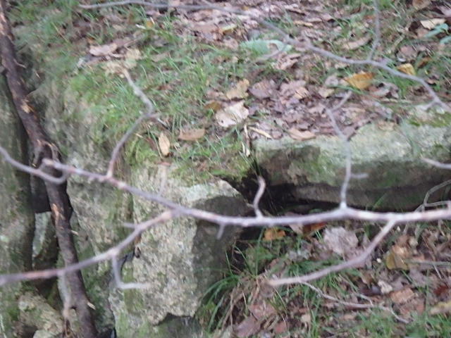 f0334143_2111845.jpg