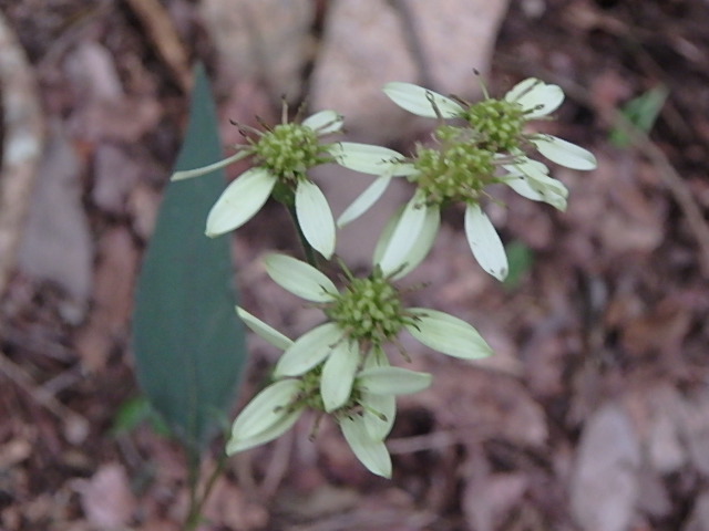 f0334143_2113074.jpg