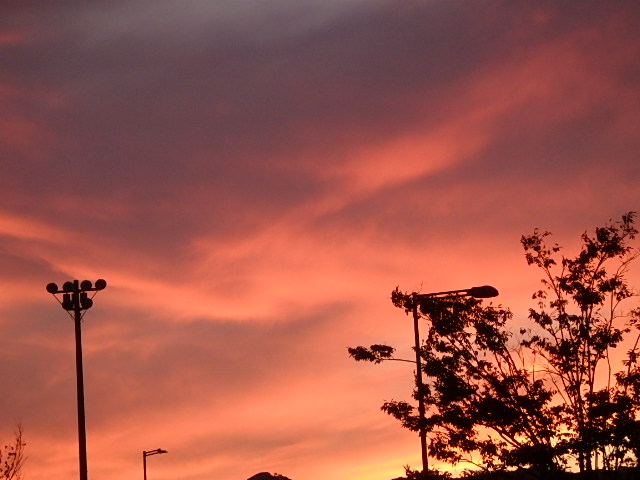 f0334143_21164872.jpg
