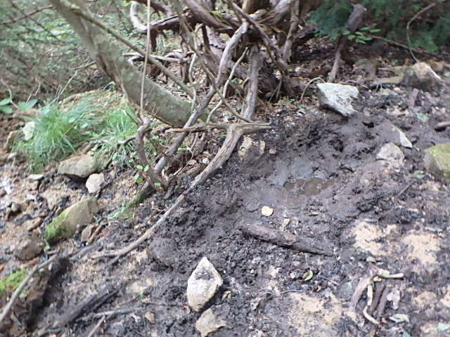 f0334143_2125121.jpg