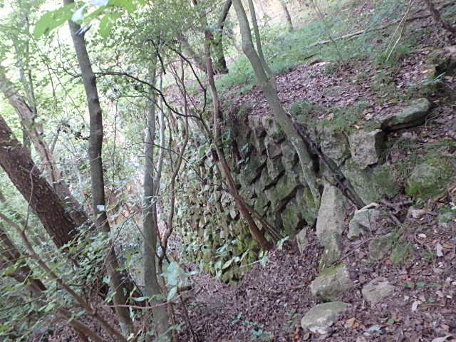 f0334143_2131732.jpg