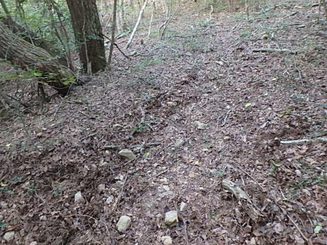 f0334143_2134655.jpg