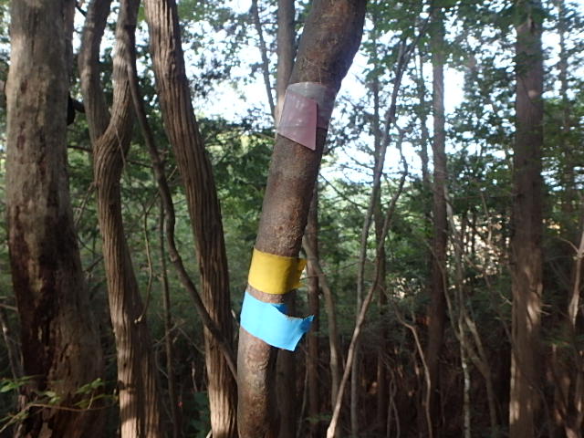 f0334143_2135928.jpg