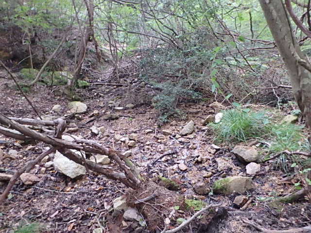 f0334143_213663.jpg