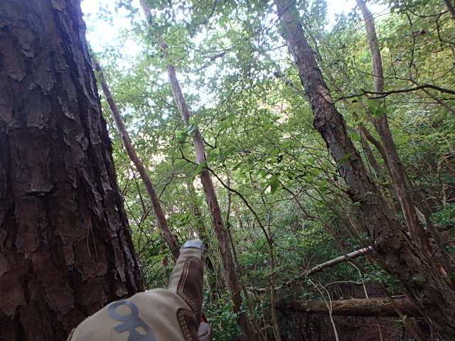 f0334143_2165194.jpg