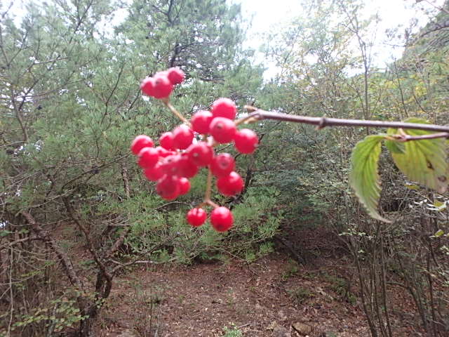 f0334143_217311.jpg