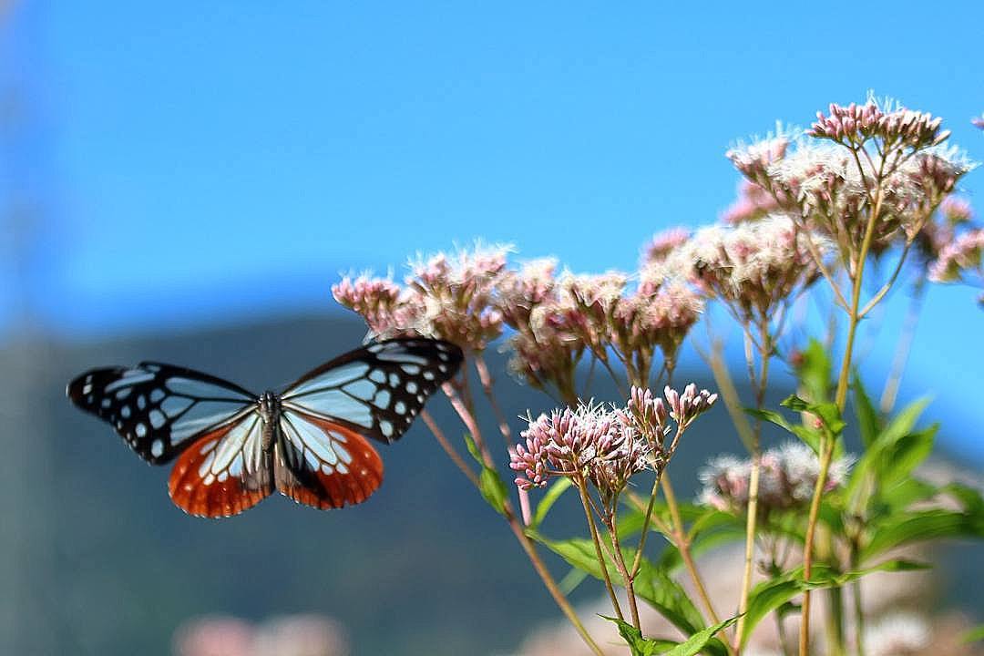 e0403850_18120182.jpg