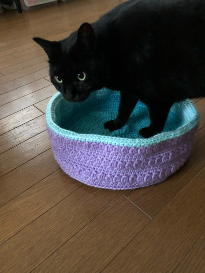 猫ベッド編みました_e0355177_15581200.jpg