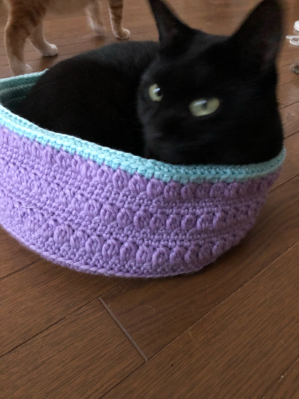 猫ベッド編みました_e0355177_15581505.jpg