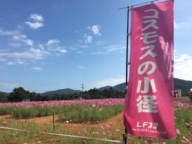 c0344679_18415040.jpg