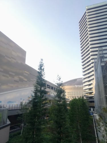 初めてのチェーンソー_d0195183_01092355.jpg